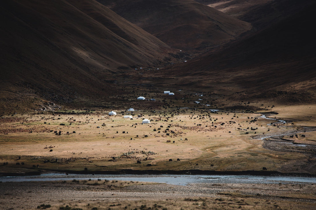 3 Lessons from the Nomadic Philosophy